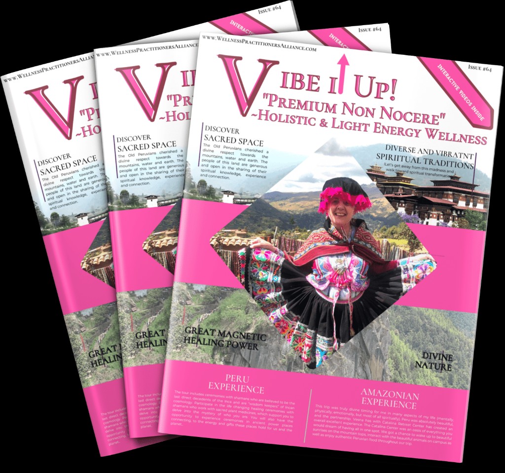 Vibe It Up magazine